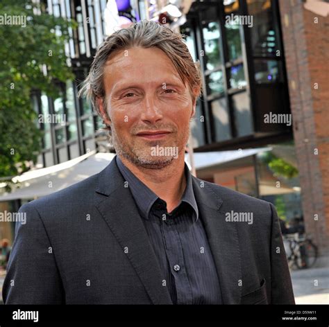 mr mikkelsen actor.